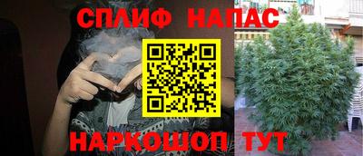 бошки Моздок